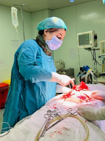 Dr. Abeera Ali - Al Makkah Clinic