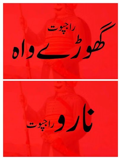Dr Rana Moin Ata