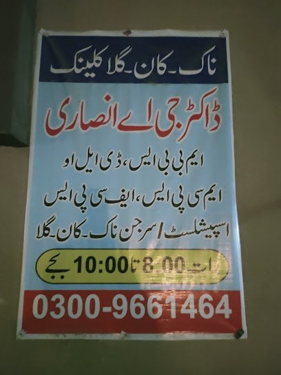 Dr. G A Ansari