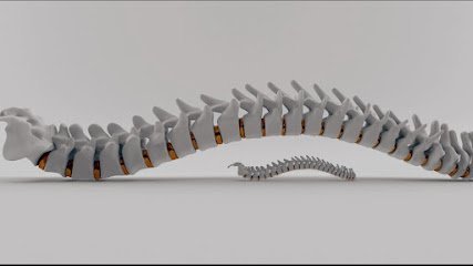 Brain And Endoscopic Spine Surgeon Dr. Mian Awais