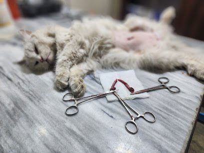 Junaid Veterinary Clinic