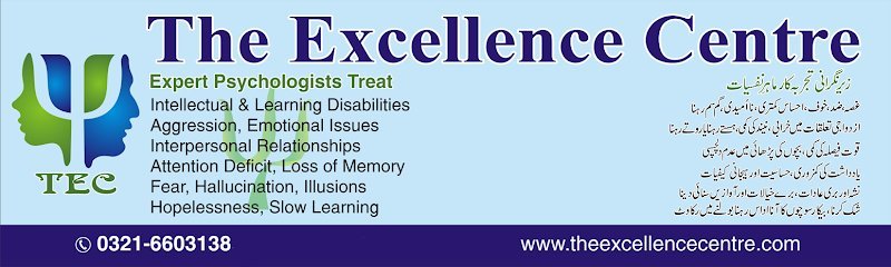 The Excellence Centre