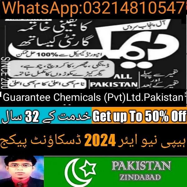 Termite Control/Pest Control/Daungi Spray/Deemak Control/Fumigation