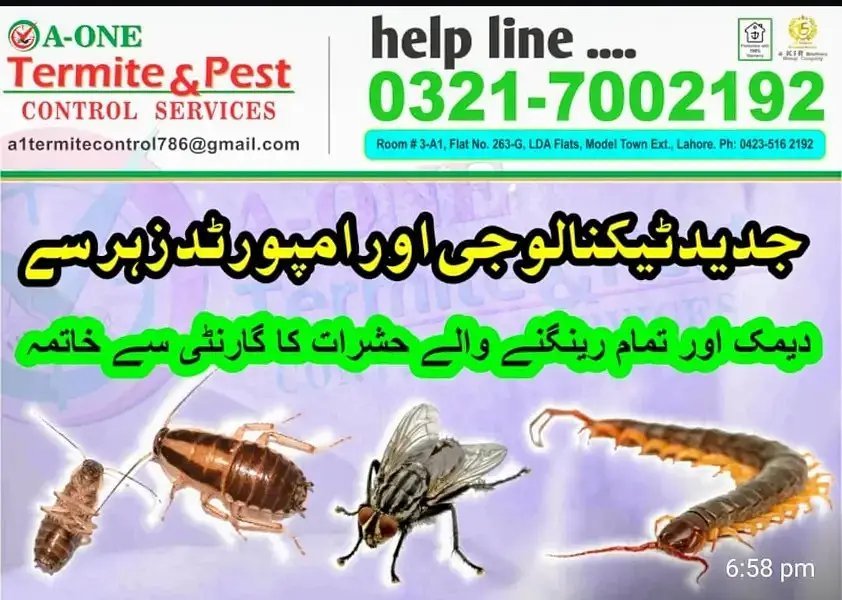 A1 Termite & Pest Control Management