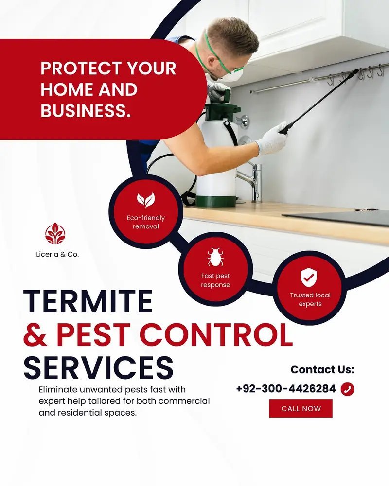 Termite Control & Pest Control