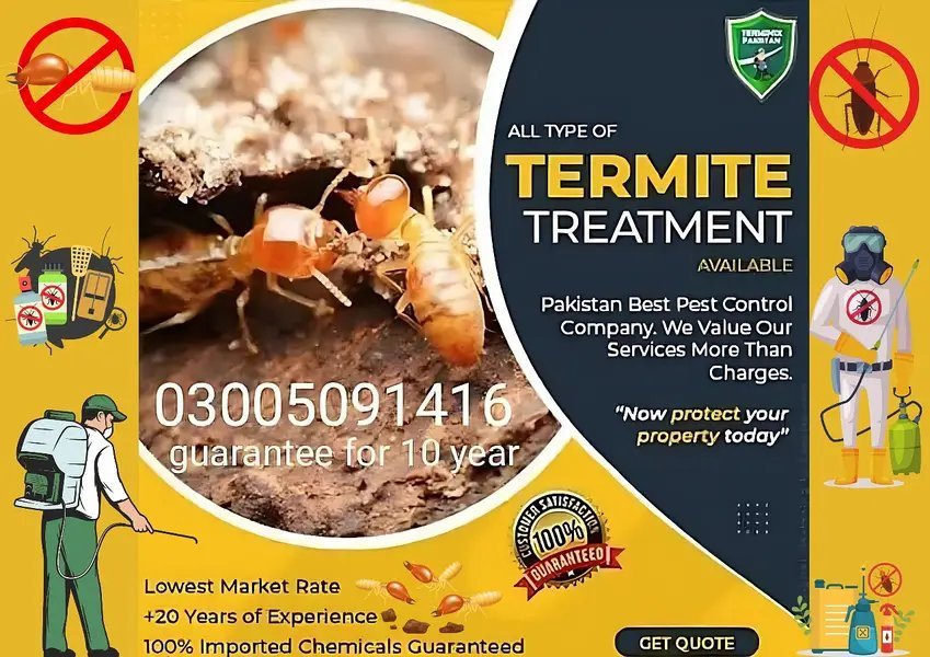 Budbugs Spray, Pest Control Service , Deemak Control Spray & Treatment