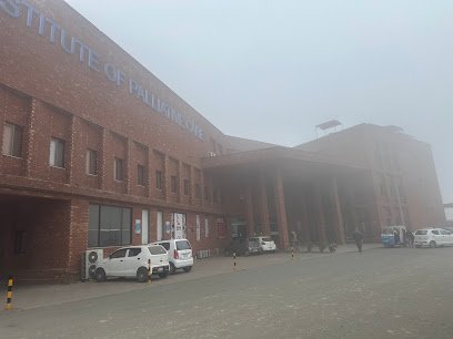 Institute Of Palliative Care