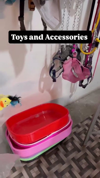 Royal Pet Clinic