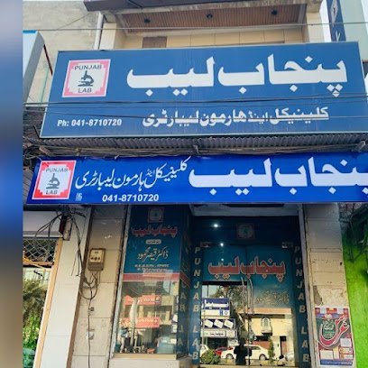 Punjab Lab