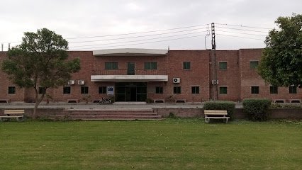 Cabb - Center Of Agricultural Biochemistry & Biotechnology