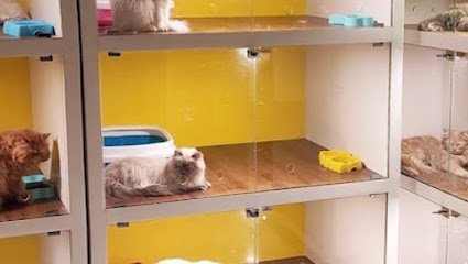 Hasbi Pet Clinic