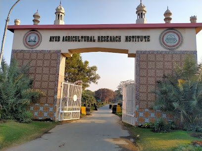 Ayub Agricultural Research Institute