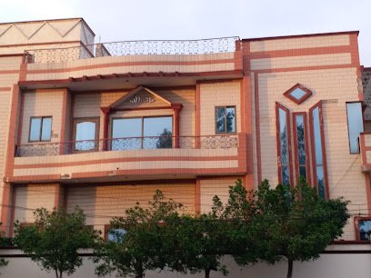 Ali Raza Aulakh Advocate