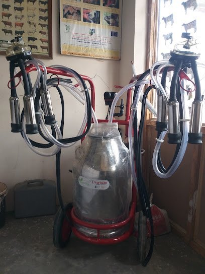 Doctor Veterinary Medical Store
