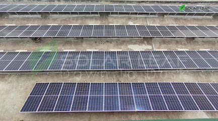 Solar Leaf