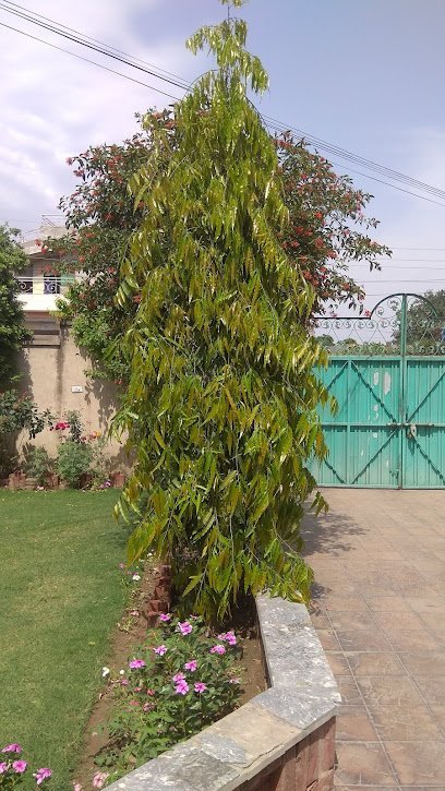 Orient Energy Systems Pvt. Ltd. (Faisalabad)