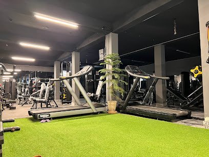Msk Fitness & Therapie