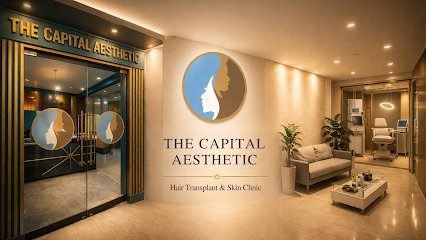 The Capital Aesthetic