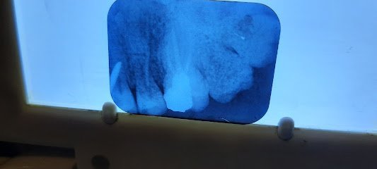 Pro Dental