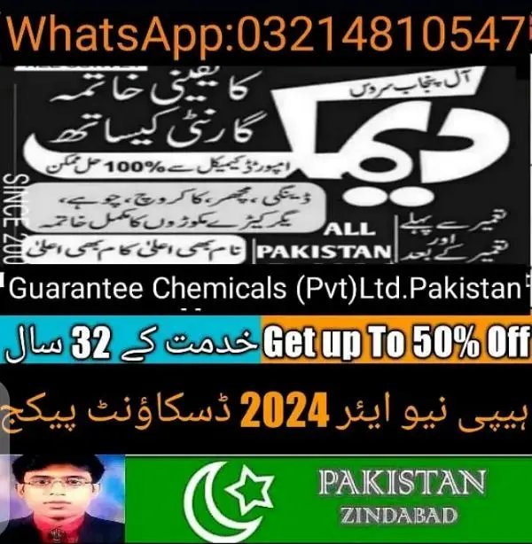 Termite Control/Pest Control/Deemak Control/Fumigation/Daungi Spray