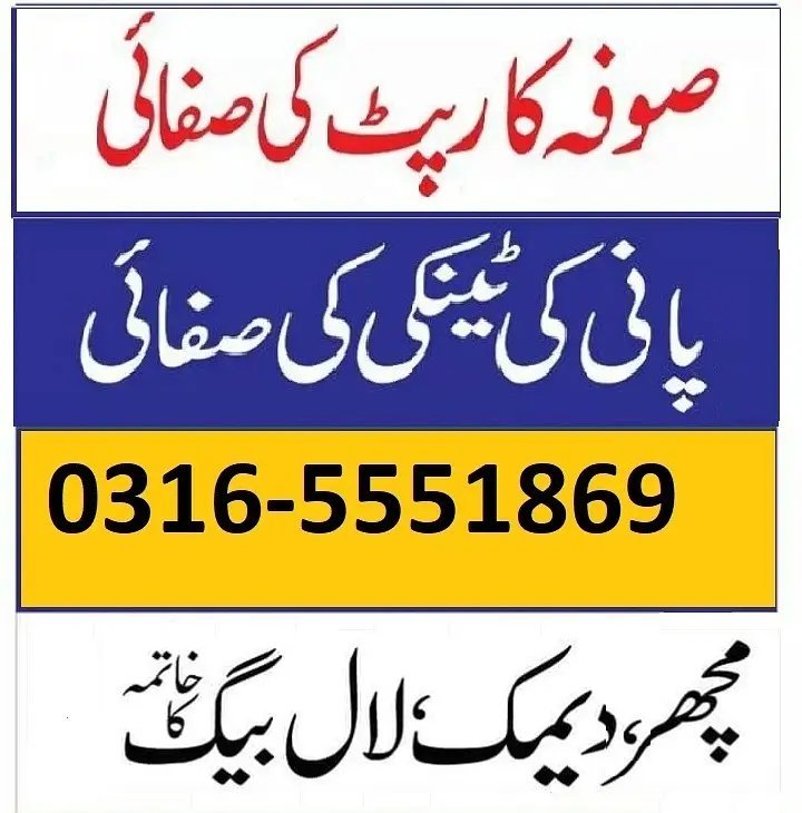 Sofa Carpet Washing