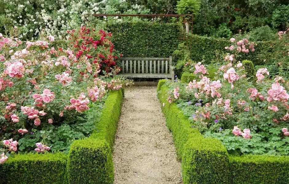 Professional Garden Maintenance Services