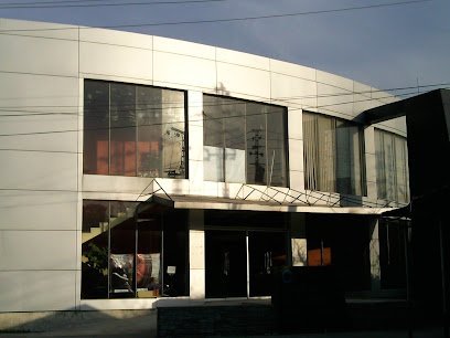 Institute Of Psychiatry & Who Collaborating Center
