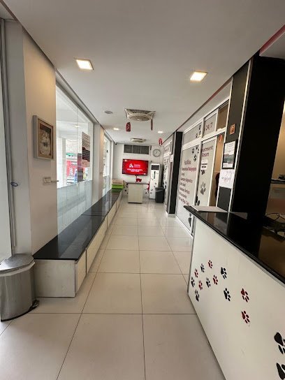 Pets & Vets