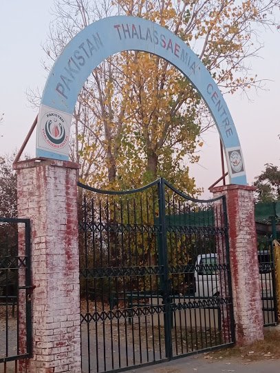 Sundas Foundation Islamabad