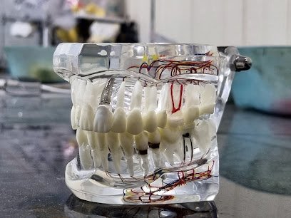Ideal Dental Laboratory