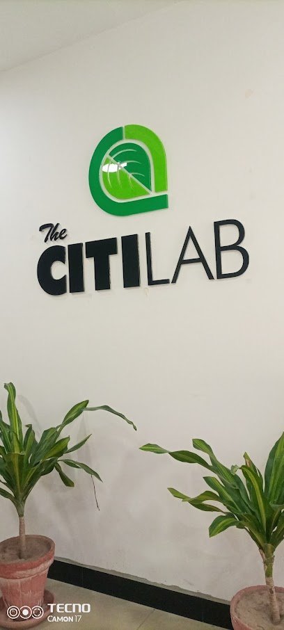 The Citi Lab
