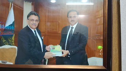 Malik Saleem Iqbal Awan