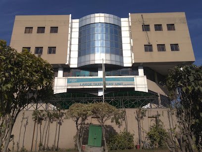 Fbr Large Taxpayers Unit