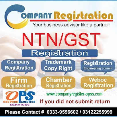 Company Registration & Tax Returns