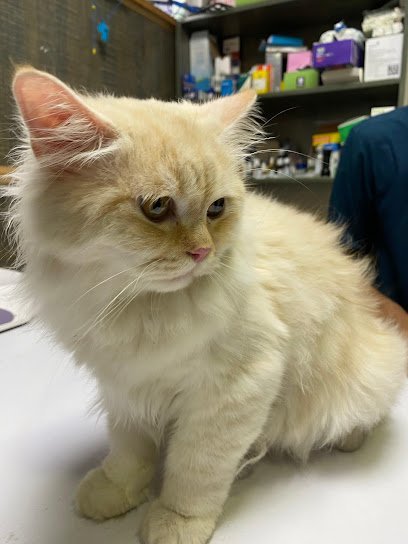 Aliyan Vets Hospital & Pet Store