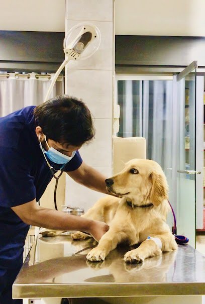 Vet Plus Clinic