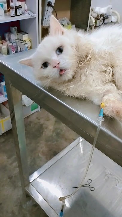 Heal Animal Health Services