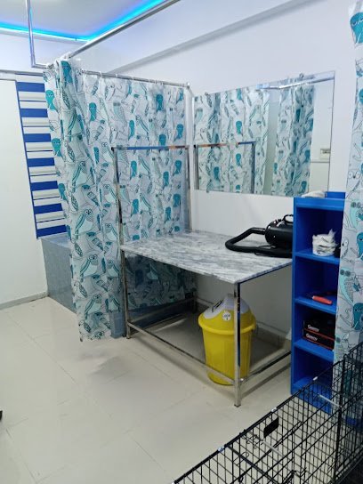 Pet Lover'S Clinic