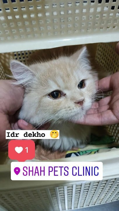 Shah Pets Clinic