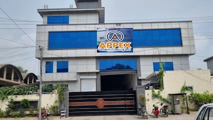 Appex Global Trading Inc