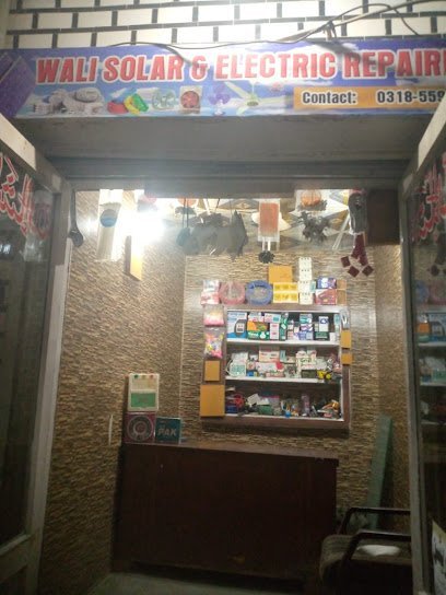 Wali Solar And Ups Installer