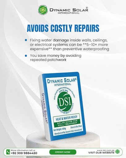 Dynamic Solar International