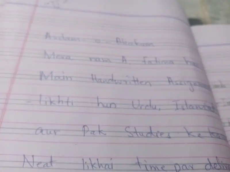 Assignment Hand Written Work