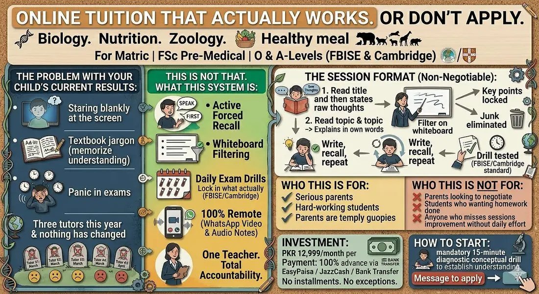Online Tuition That Actually Work