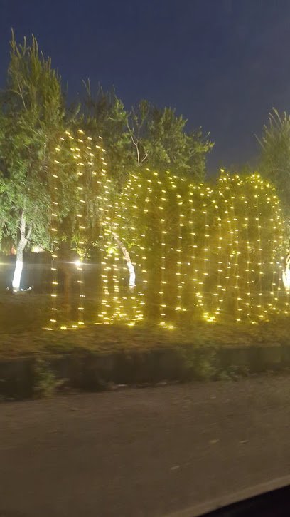 Samsons Wedding Arena