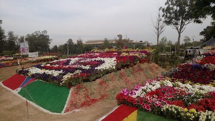 Rose And Jasmine Garden