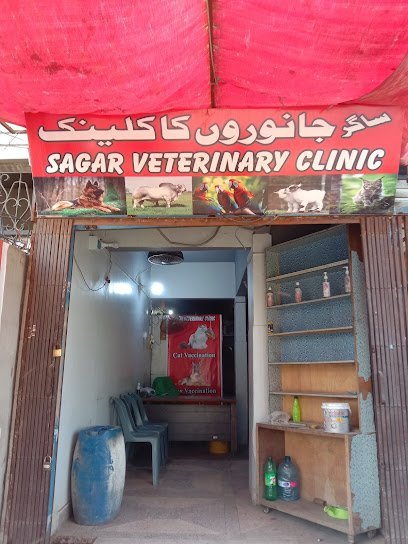 Animal Care Veterinary Clinic