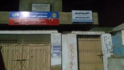 Shah Wali Trust