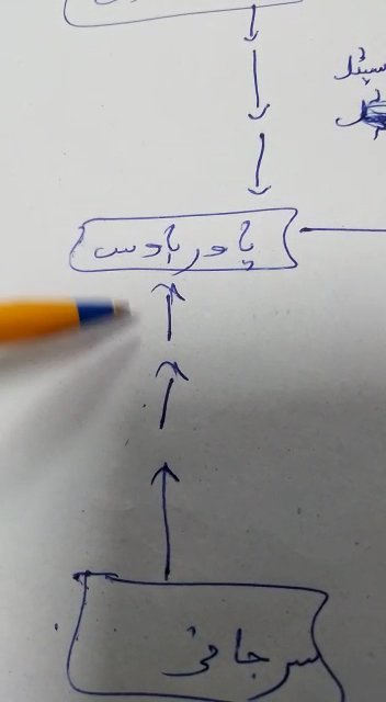 Best Child Specialist In Karachi
