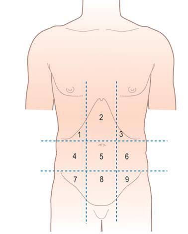 Acupoint (Complimentary Medicine)